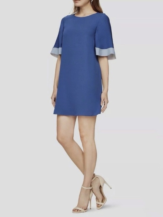 BCBGMaxAzria Dresses & Skirts - BCBGMaxAzria Philippa Color Blocked Shift Dress Size S Blue Shore Sleeves Mini
